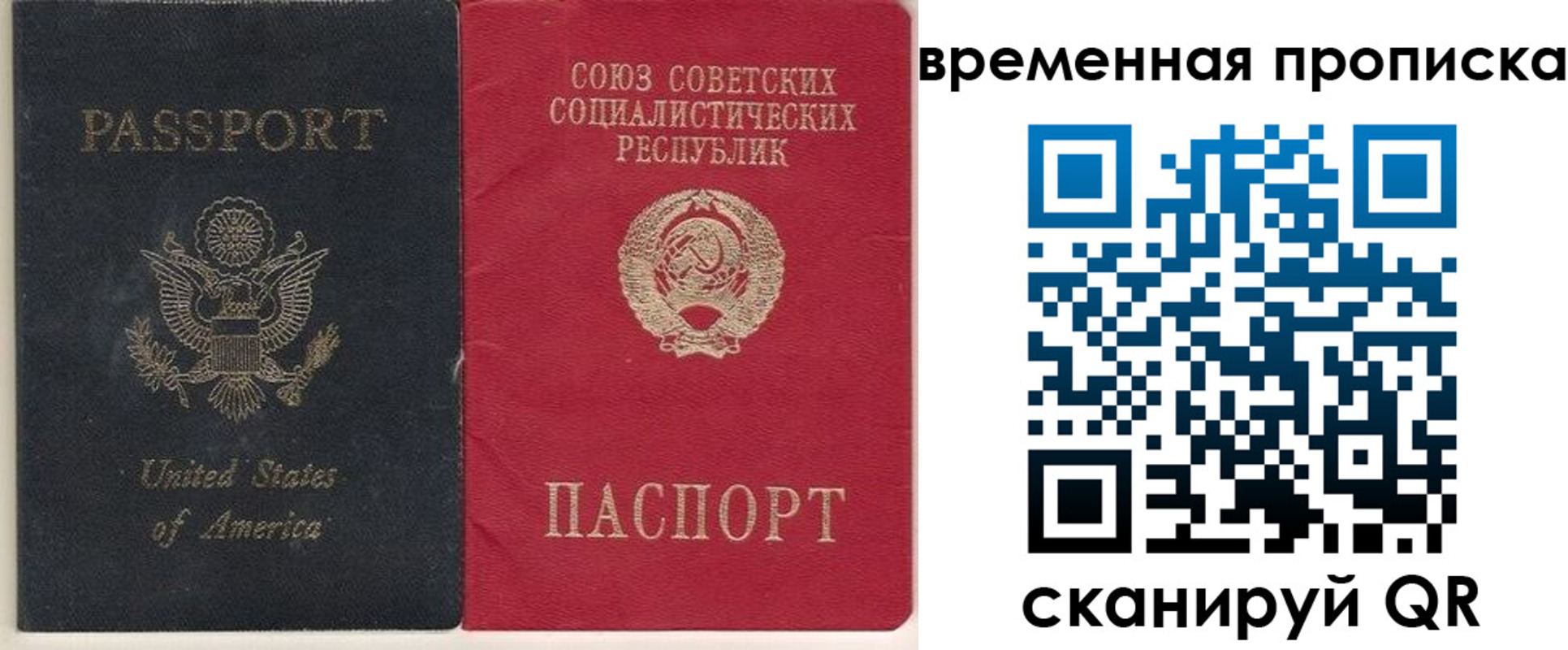 прописка для школы в Балтийске